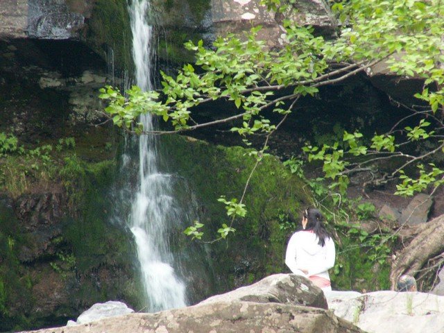 pict2774.jpg