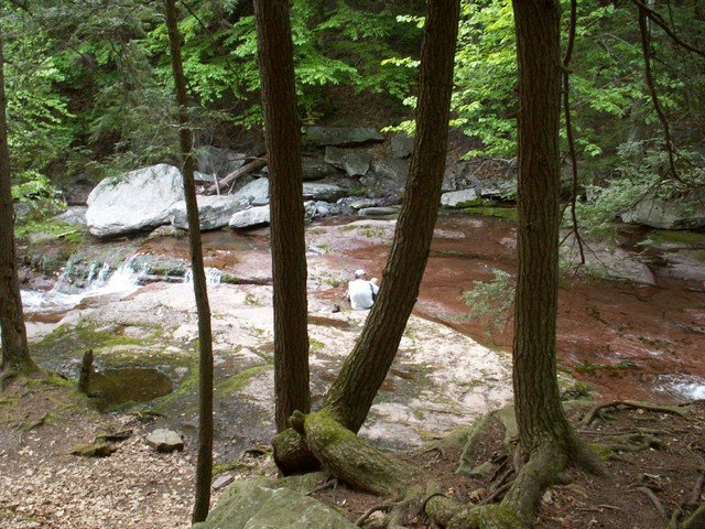 pict2779.jpg