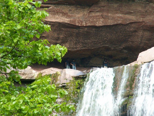 pict2786.jpg