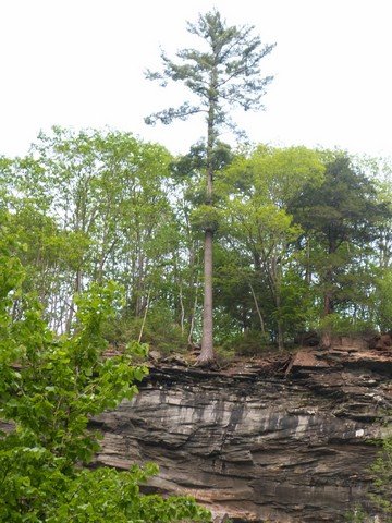 pict2802.jpg