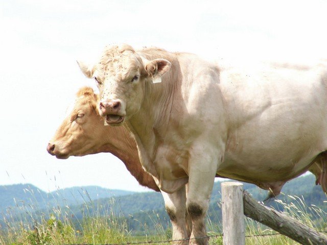 pict3305.jpg
