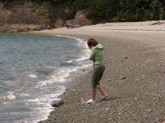 pict3333.jpg