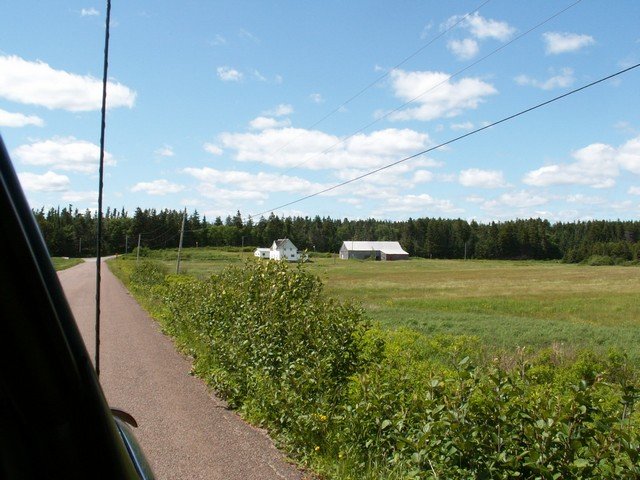 pict3358.jpg