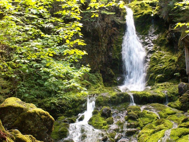 pict3372.jpg