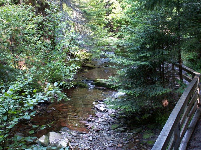 pict3379.jpg