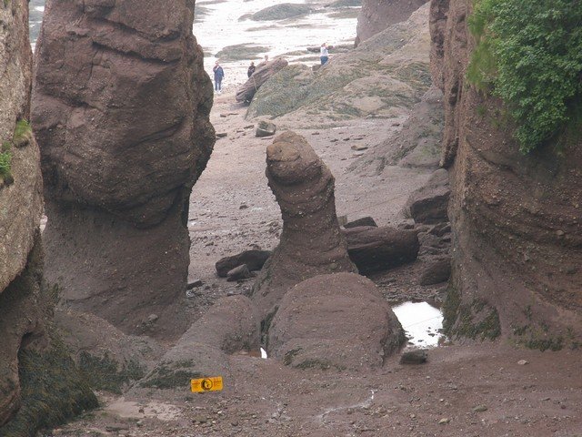 pict3250.jpg