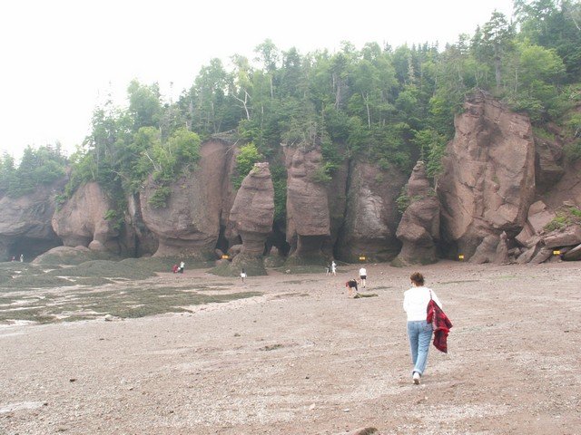 pict3263.jpg