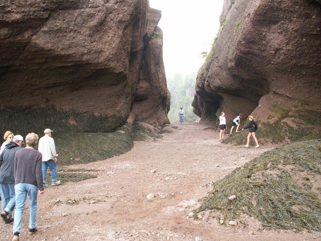 pict3268.jpg