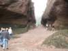 pict3268_small.jpg