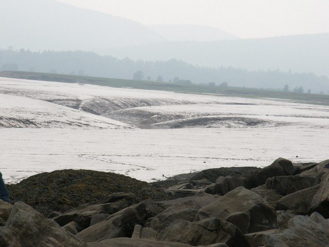 pict3290.jpg