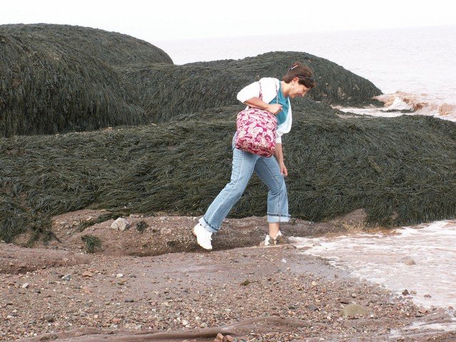 pict3293.jpg