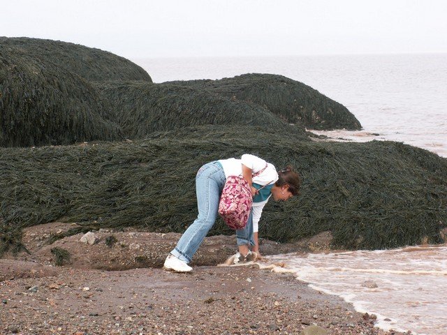 pict3295.jpg