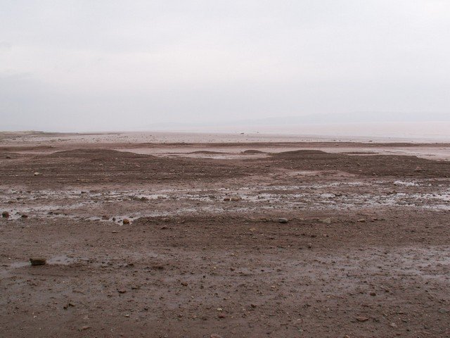 pict3300.jpg