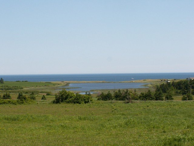 pict3060.jpg