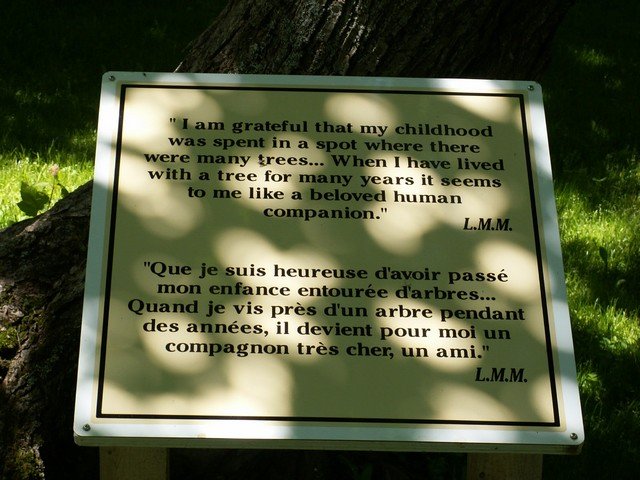 pict3070.jpg