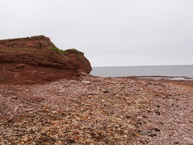 pict3116.jpg
