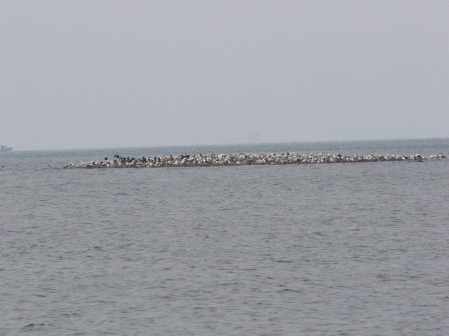 pict3119.jpg