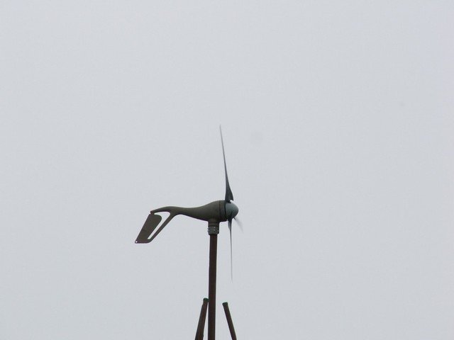 pict3133.jpg