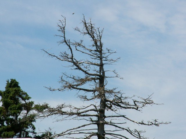 pict3184.jpg