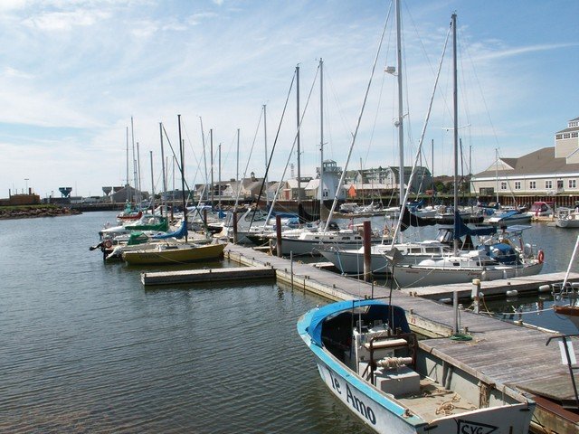 pict3195.jpg