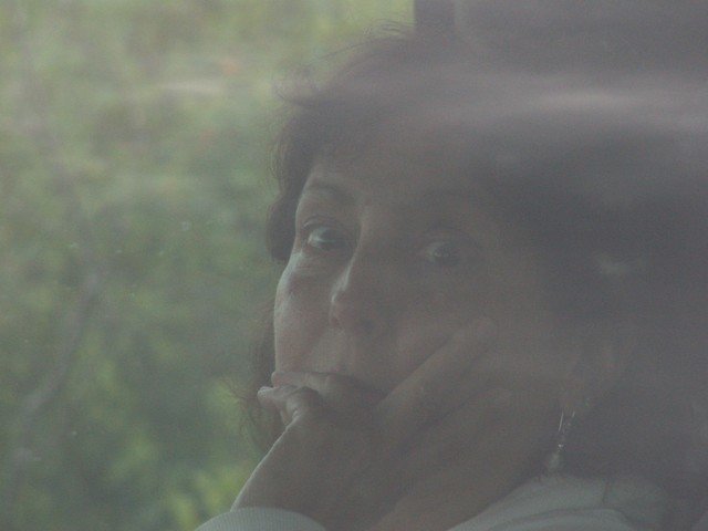 pict3229.jpg