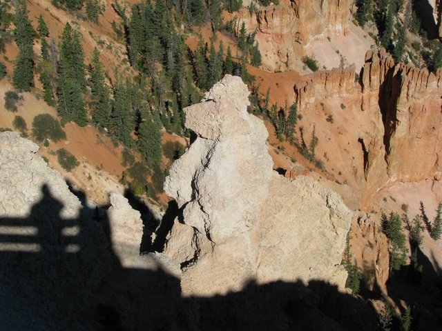 img_4463.jpg