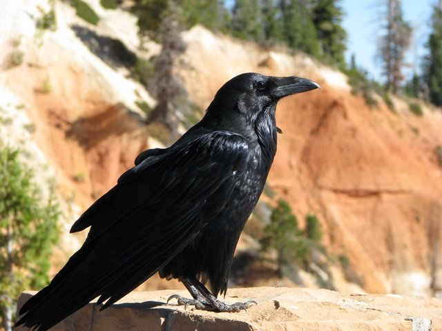 img_4479.jpg