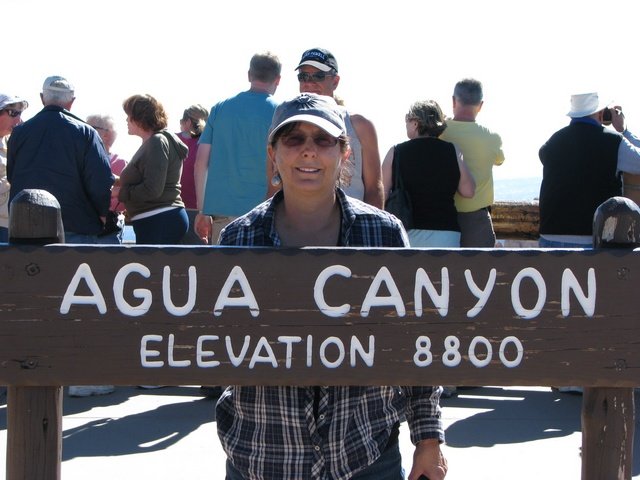 img_4495.jpg