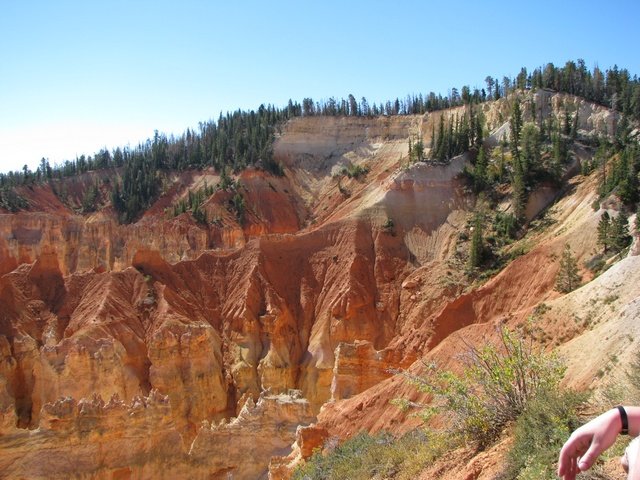 img_4501.jpg