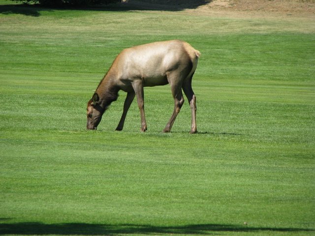 img_3470.jpg