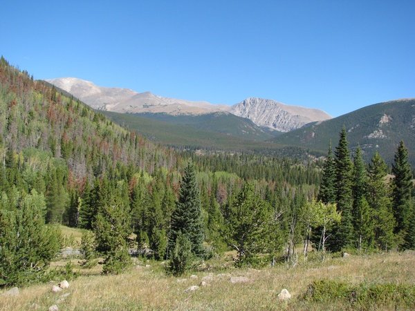 img_3504.jpg
