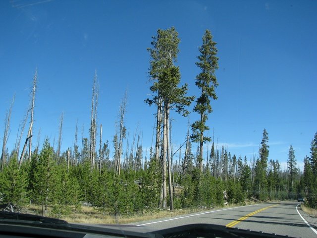 img_4047.jpg