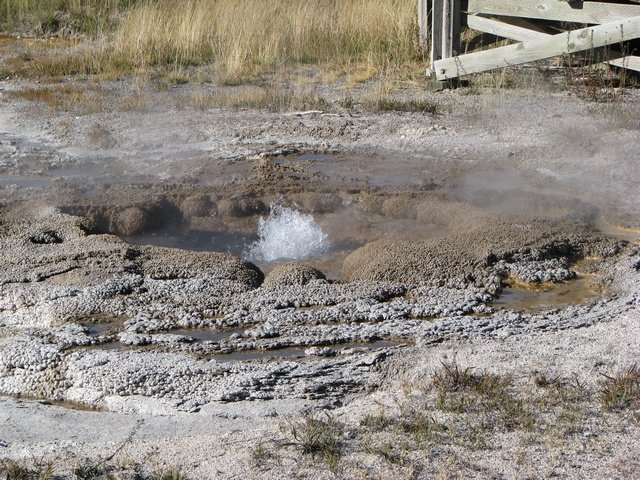 img_4137.jpg
