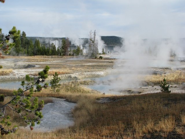 img_4174.jpg