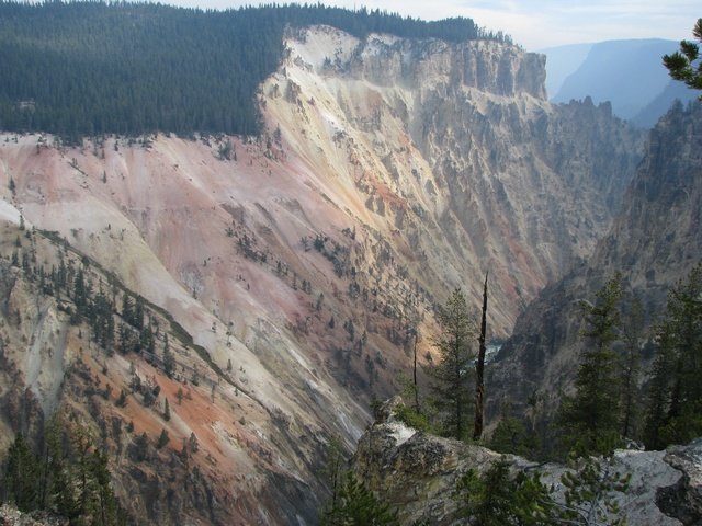 img_4235.jpg