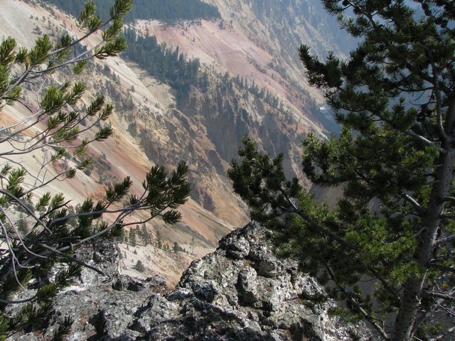 img_4249.jpg