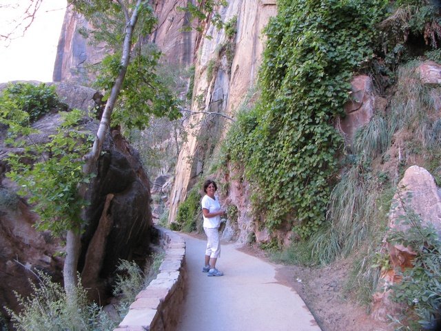 img_4570.jpg