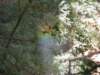 img_4632_small.jpg
